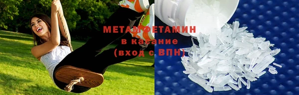 прущие грибы Верхний Тагил