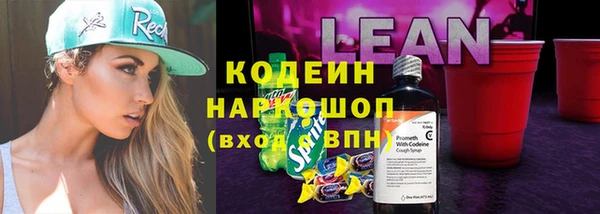 прущие грибы Верхний Тагил