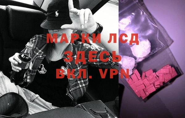 прущие грибы Верхний Тагил