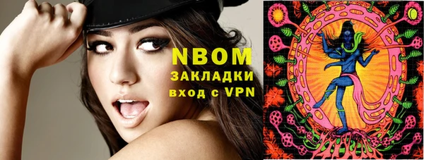 прущие грибы Верхний Тагил