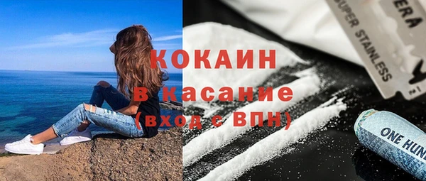 прущие грибы Верхний Тагил