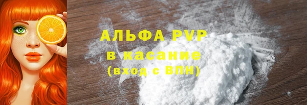 прущие грибы Верхний Тагил