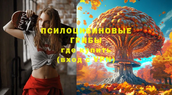 прущие грибы Верхний Тагил