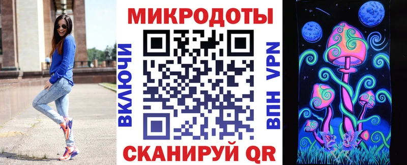 Купить где  Сенгилей  Псилоцибиновые грибы мицелий 